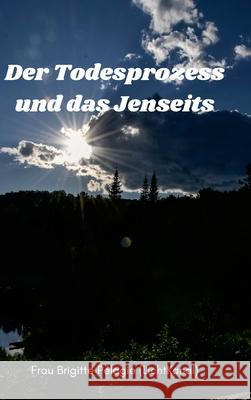 Der Todesprozess und das Jenseits (Hardcover) P 9781365871658 Lulu.com