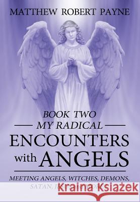 My Radical Encounters with Angels Matthew Robert Payne 9781365938733