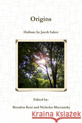 Origins: Haibun Jacob Salzer 9781365962387 Lulu.com