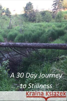A 30 Day Journey to Stillness Anne Simpson 9781367912519 Blurb