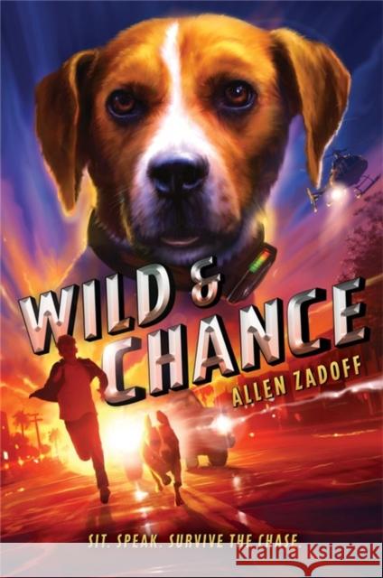 Wild & Chance Allen Zadoff 9781368053198 Disney-Hyperion