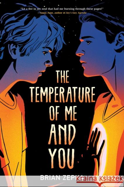 The Temperature Of Me And You Brian Zepka 9781368074179 Disney Book Publishing Inc.