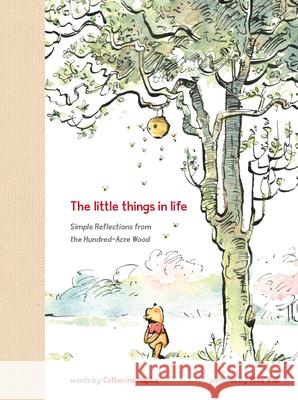Winnie the Pooh: The Little Things in Life Hapka, Catherine 9781368076098