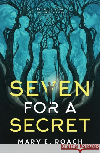 Seven for a Secret Mary E. Roach 9781368114608 Disney Hyperion