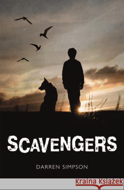 Rollercoasters: Scavengers Darren Simpson   9781382008525