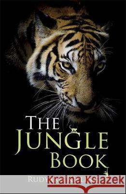 Rollercoasters: The Jungle Book Kipling, Rudyard 9781382010436 