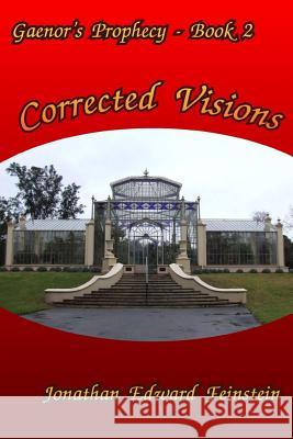 Corrected Visions Jonathan Edward Feinstein 9781387011230