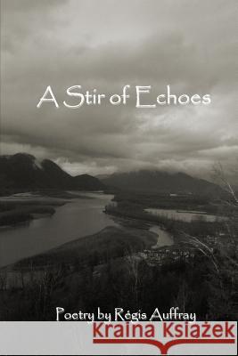 A Stir of Echoes Régis Auffray 9781387316724