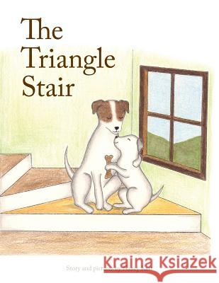 The Triangle Stair Nancy Kett 9781387521463 Lulu.com