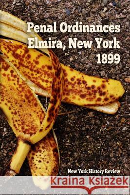 Penal Ordinances of Elmira, New York 1899 New York History Review 9781387550807