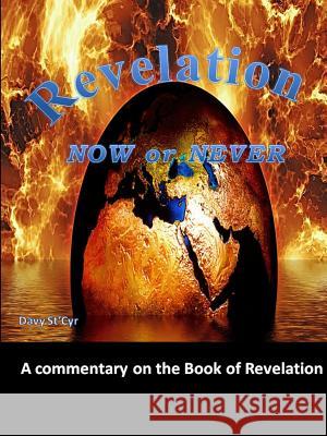 Revelation Now Or Never St'cyr, Davy 9781387729647