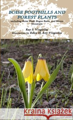 Boise Foothills and Forest Plants Ray S Vizgirdas 9781387736744 Lulu.com