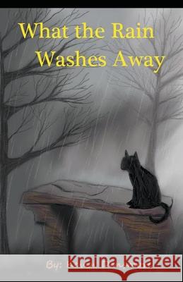 What the Rain Washes Away Kevin Densmore 9781393591696