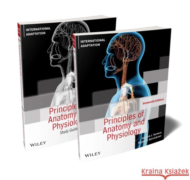 Principles of Anatomy and Physiology Gerard J. Tortora (Bergen Community Coll Bryan H. Derrickson (Valencia Community   9781394210213 John Wiley & Sons Inc