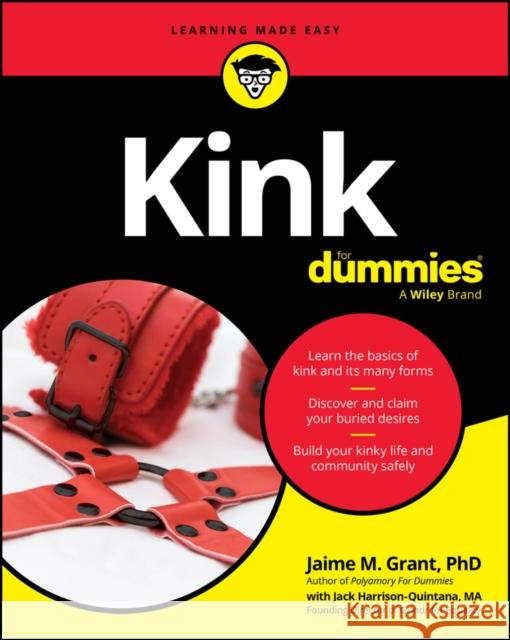 Kink for Dummies Jack Harrison-Quintana 9781394353248 For Dummies