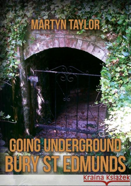 Going Underground: Bury St Edmunds Martyn Taylor 9781398105089