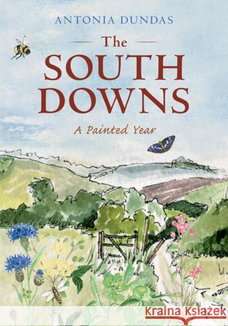The South Downs: A Painted Year Antonia Dundas 9781398117921 Amberley Publishing