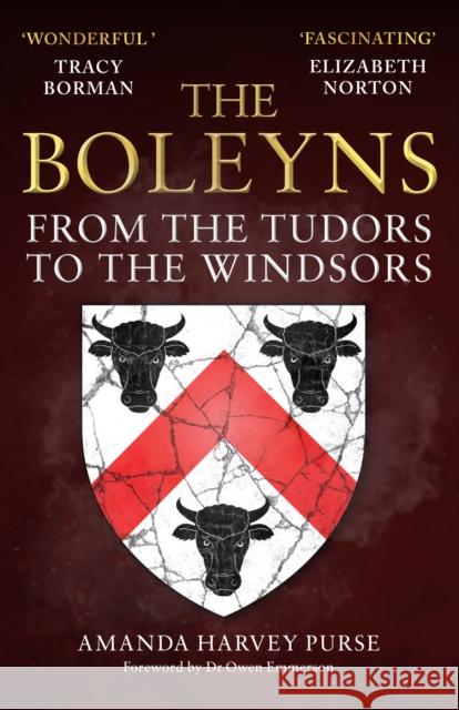The Boleyns: From the Tudors to the Windsors Amanda Harvey Purse 9781398119611 Amberley Publishing
