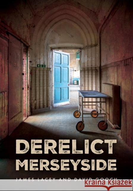 Derelict Merseyside David Gooch 9781398119802