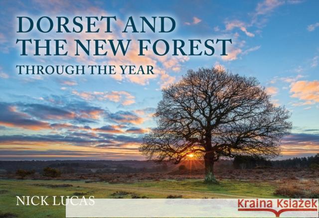 Dorset and the New Forest Through the Year Nick Lucas 9781398121256 Amberley Publishing
