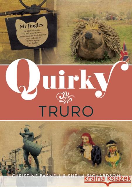 Quirky Truro Sheila Richardson 9781398123755 Amberley Publishing