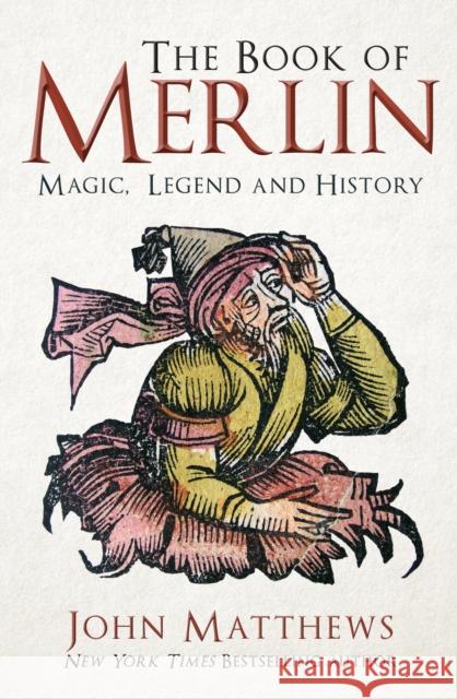 The Book of Merlin: Magic, Legend and History John Matthews 9781398127012 Amberley Publishing