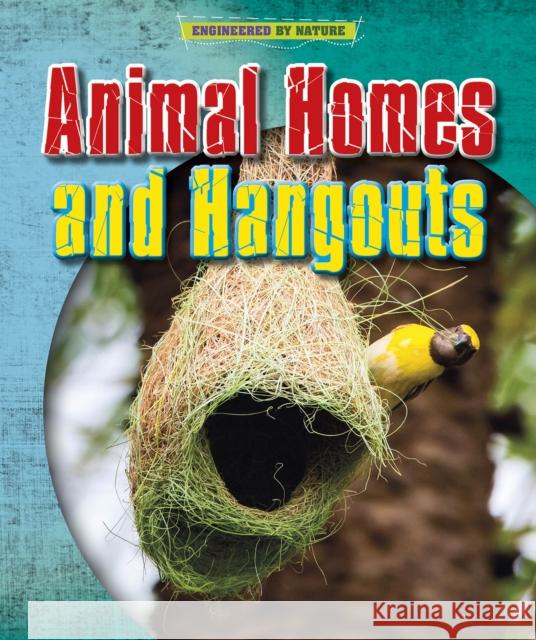 Animal Homes and Hang-outs Spilsbury, Richard 9781398200586 Capstone Global Library Ltd