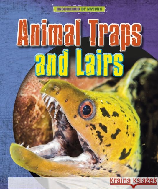 Animal Traps and Lairs Spilsbury, Richard 9781398200593 Capstone Global Library Ltd