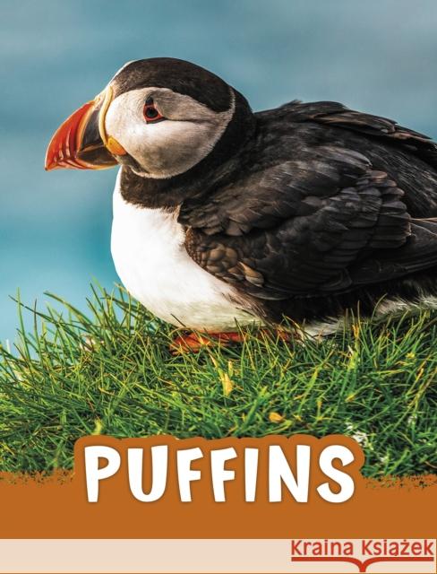 Puffins Jaclyn Jaycox 9781398202450