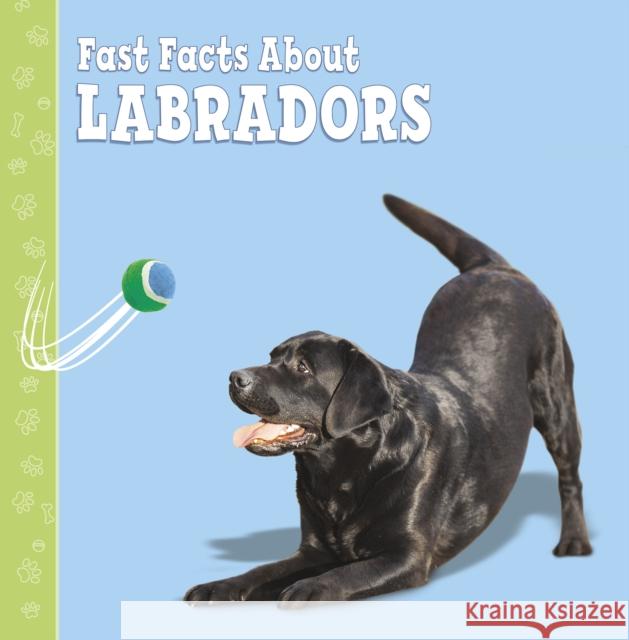 Fast Facts About Labradors Marcie Aboff 9781398202894