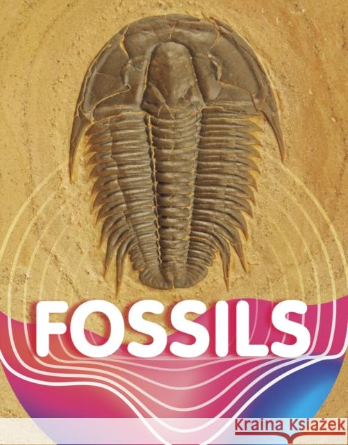 Fossils Keli Sipperley 9781398204089 Capstone Global Library Ltd