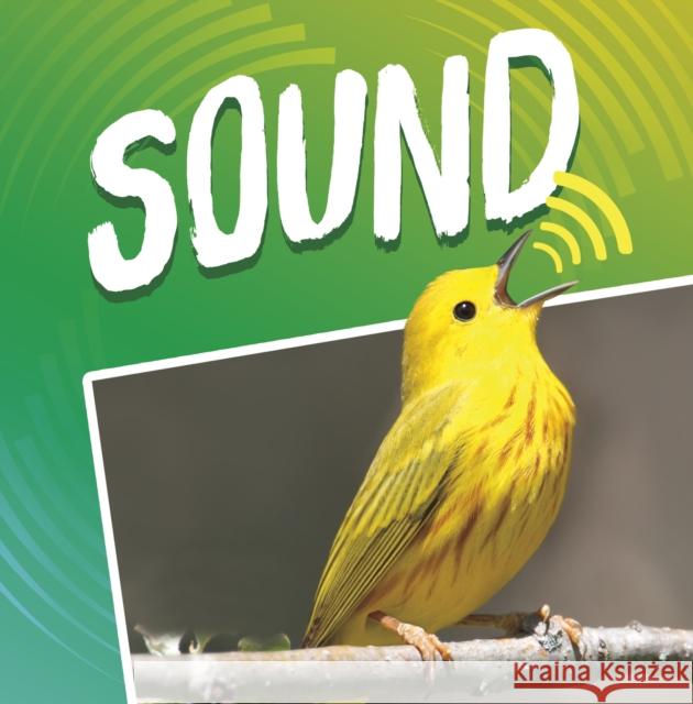 Sound Michael (Author) Dahl 9781398204195 Capstone Global Library Ltd