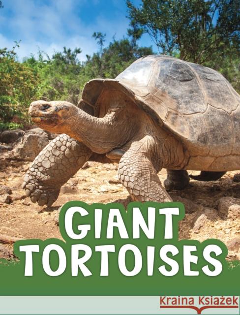 Giant Tortoises Jaclyn Jaycox 9781398213104 Capstone Global Library Ltd