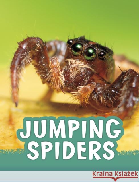 Jumping Spiders Jaclyn Jaycox 9781398213128