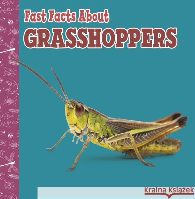 Fast Facts About Grasshoppers Julia Garstecki-Derkovitz 9781398213234 Capstone Global Library Ltd