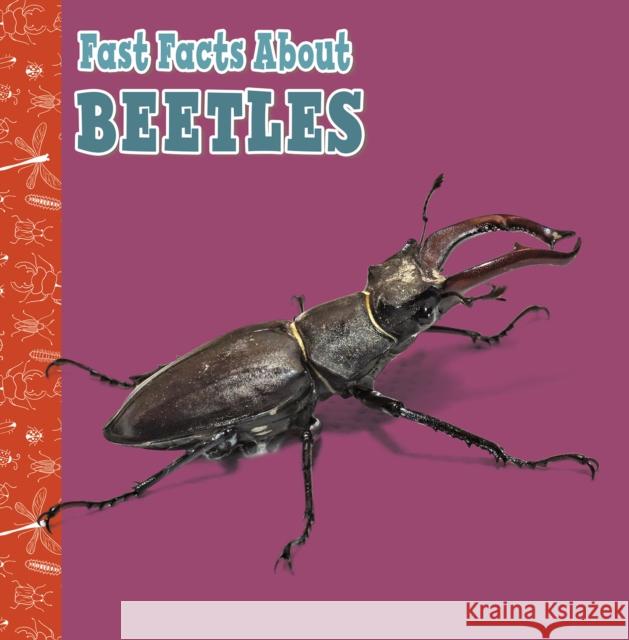 Fast Facts About Beetles Julia Garstecki-Derkovitz 9781398213272 Capstone Global Library Ltd