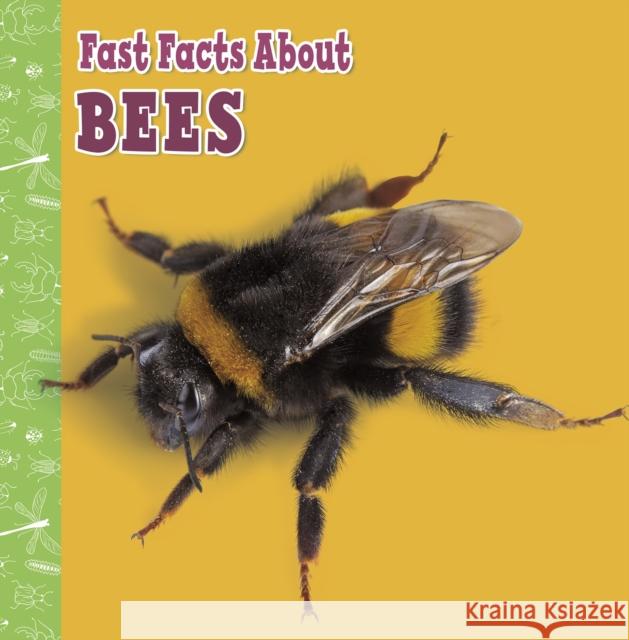 Fast Facts About Bees Lisa J. Amstutz 9781398213333