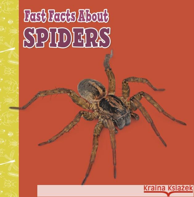 Fast Facts About Spiders Julia Garstecki-Derkovitz 9781398213371 Capstone Global Library Ltd