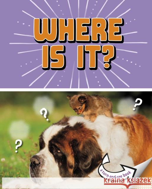 Where Is It?: A Turn-and-See Book Cari Meister 9781398215764 Capstone Global Library Ltd