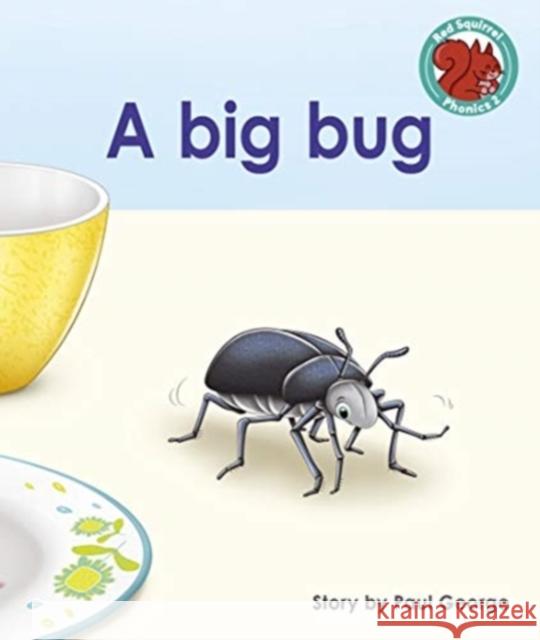 A big bug Paul George 9781398216396 Capstone Global Library Ltd