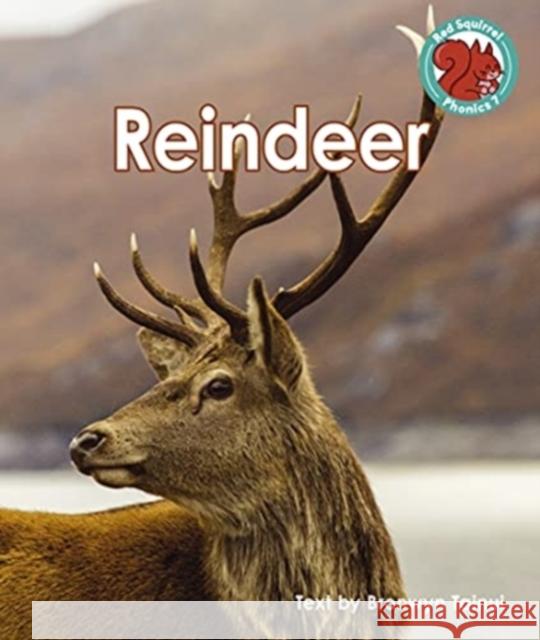 Reindeer Bronwyn Tainui 9781398216853 Capstone Global Library Ltd