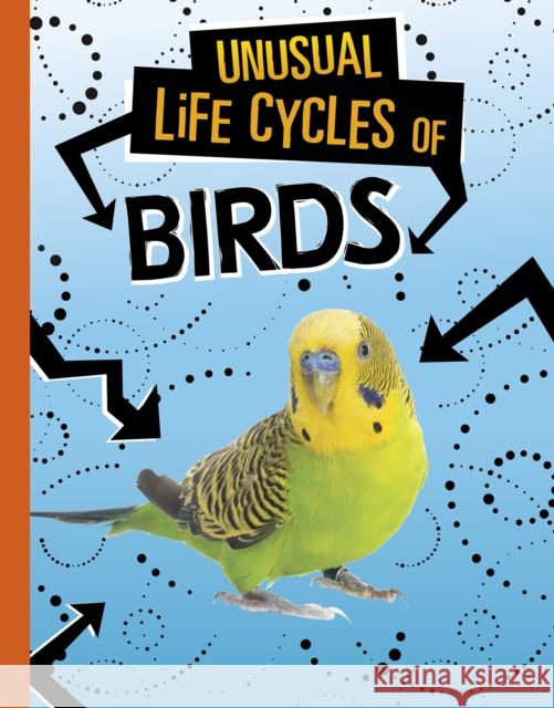 Unusual Life Cycles of Birds Jaclyn Jaycox 9781398222946