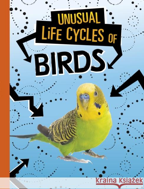 Unusual Life Cycles of Birds Jaclyn Jaycox 9781398222953