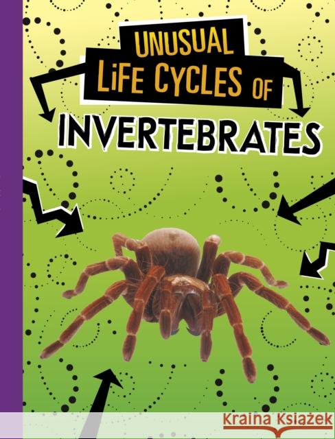 Unusual Life Cycles of Invertebrates Jaclyn Jaycox 9781398223028