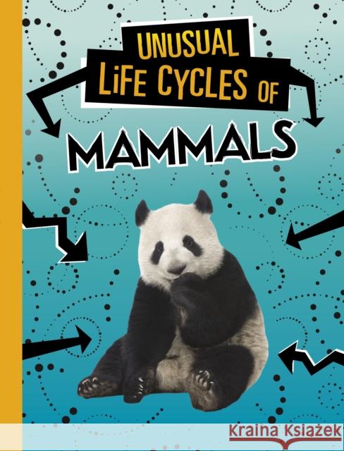 Unusual Life Cycles of Mammals Jaclyn Jaycox 9781398223066