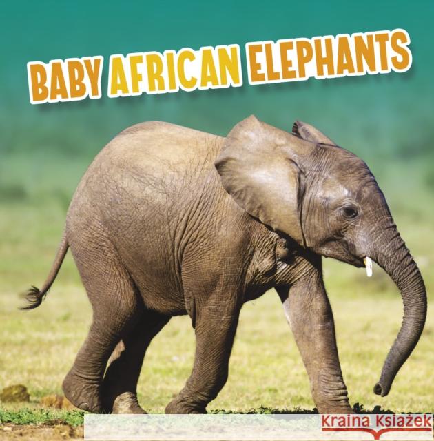 Baby African Elephants Martha E. H. Rustad 9781398223776 Capstone Global Library Ltd