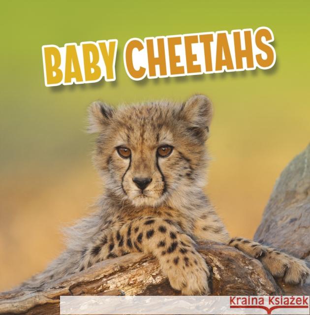 Baby Cheetahs Martha E. H. Rustad 9781398223813