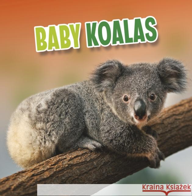 Baby Koalas Martha E. H. Rustad 9781398223936