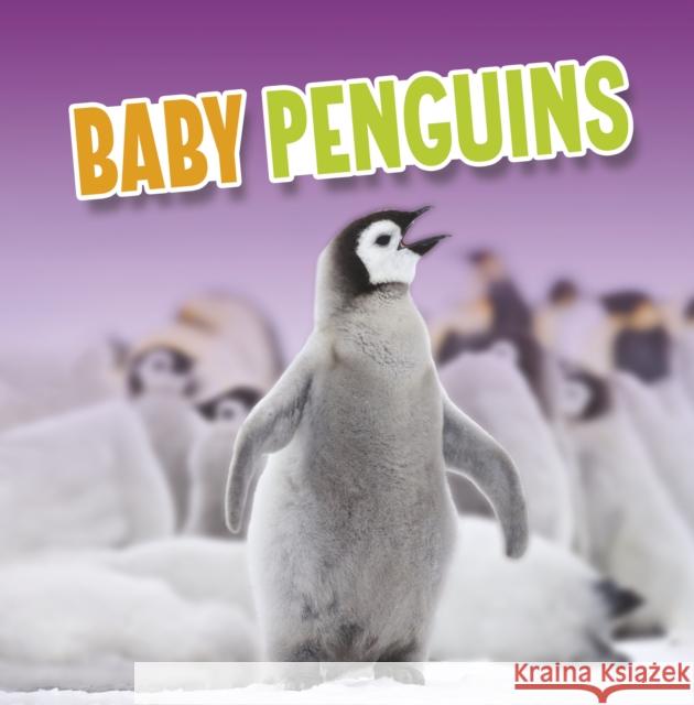 Baby Penguins Martha E. H. Rustad 9781398224018