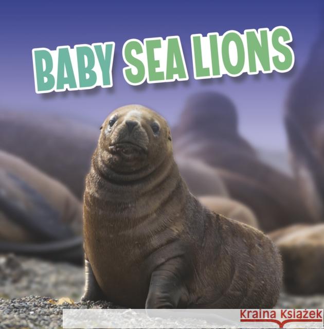 Baby Sea Lions Martha E. H. Rustad 9781398224056